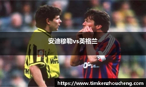 安迪穆勒vs英格兰