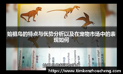 始祖鸟的特点与优势分析以及在宠物市场中的表现如何